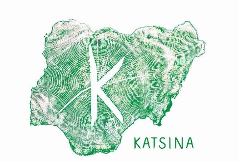 Katsina SA custom software development